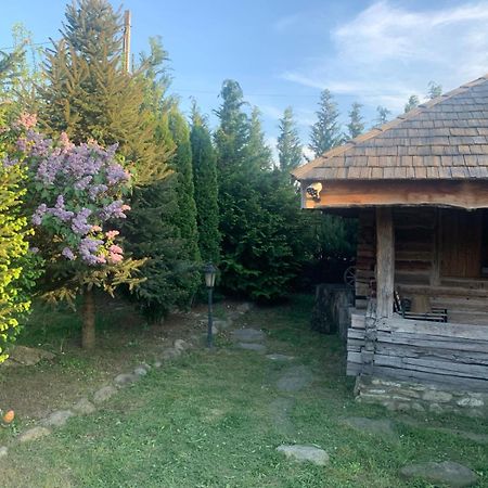 Satul Traditional Runcu (Gorj) Exterior foto