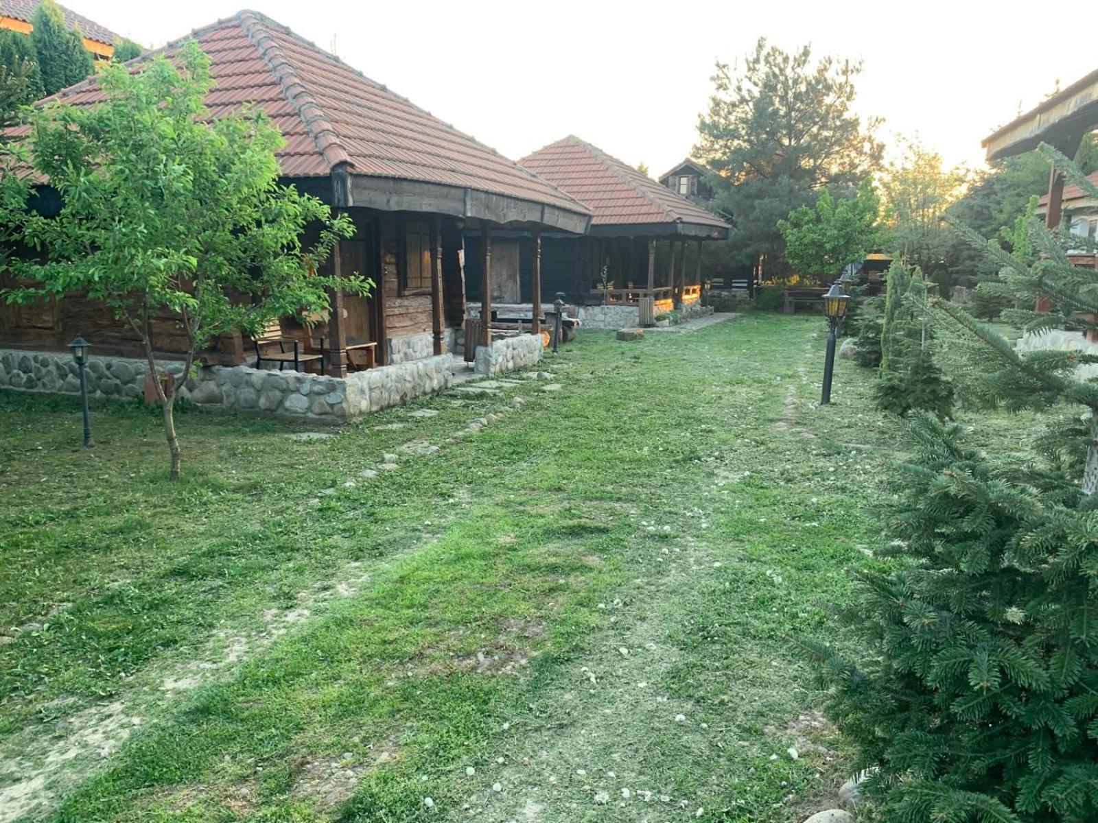Satul Traditional Runcu (Gorj) Exterior foto